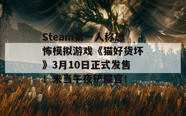 Steam第一人称恐怖模拟游戏《猫好货坏》3月10日正式发售！来当午夜铲屎官！