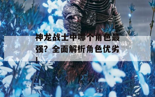 神龙战士中哪个角色最强？全面解析角色优劣!